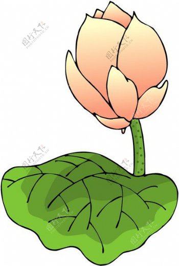 位图色彩卡通植物少女装印花粉红色免费素材
