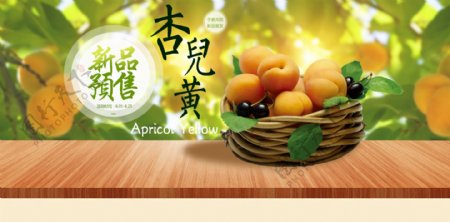 淘宝海报素材水果杏子海报
