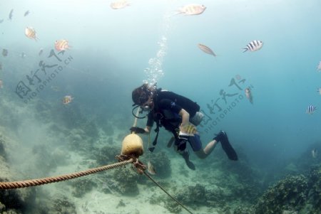 全球首席大百科热带岛屿海岛海底风景探索