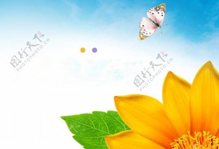 蝴蝶鲜花PPT背景模板