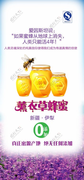 新疆蜂蜜三折页图片