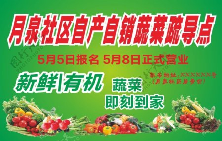 水果蔬菜市场海报