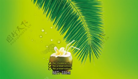 椰子饮料包装图片