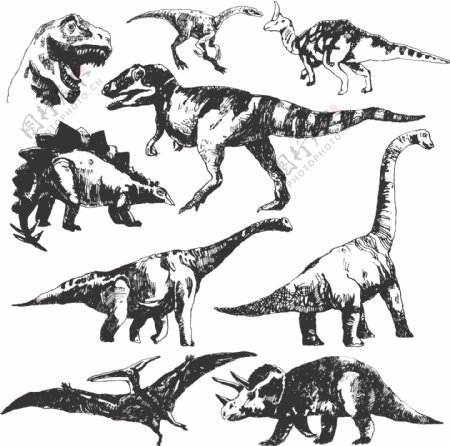 恐龙矢量素材图片