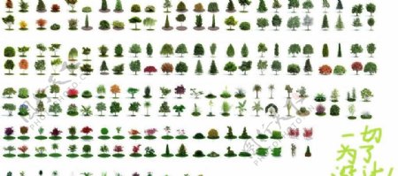 树木树木模型