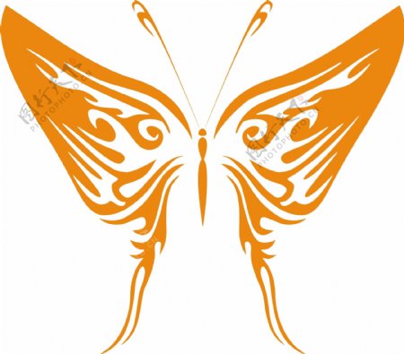 100款蝴蝶图案设计矢量图含AI