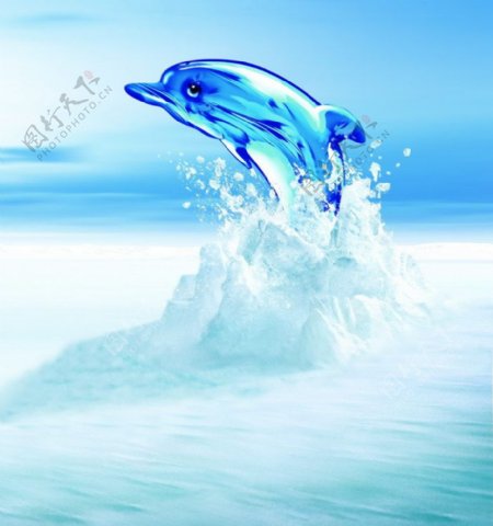 跳跃水晶海豚