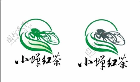 小蝉红茶标志设计图片