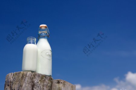 蓝天白云奶瓶牛奶树樟木樟