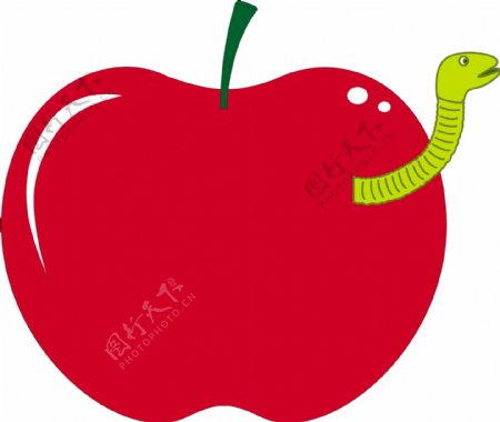 水果苹果里的虫子