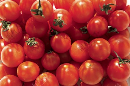 一堆西红柿番茄图片