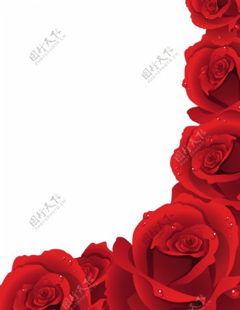 精美红色玫瑰花矢量素材