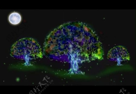 月亮荧光树视频素材图片
