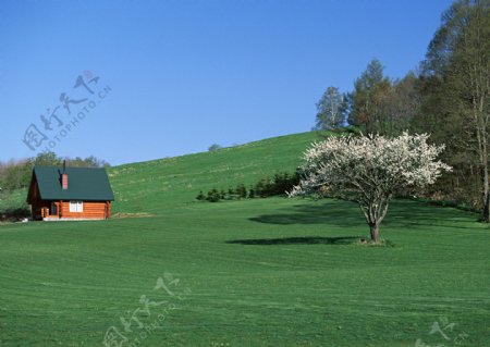 自然风景陆地旷野