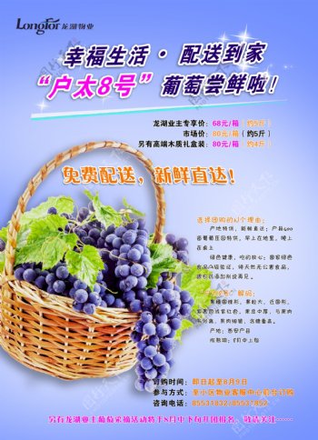水果葡萄海报图片