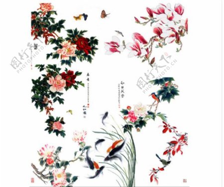 中国风工笔花鸟设计PSD分层素材
