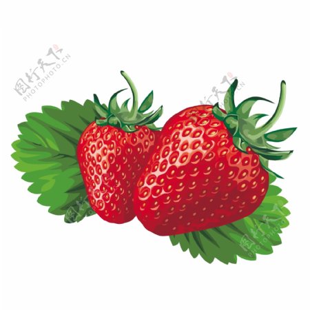 草莓草莓和牛奶草莓牛奶