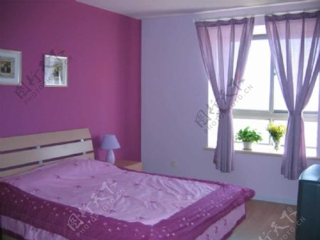 紫色卧室设计