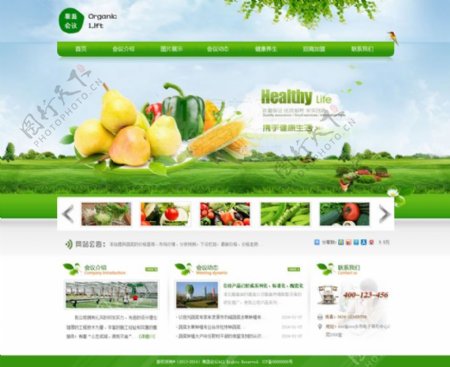 清新果蔬网站模板