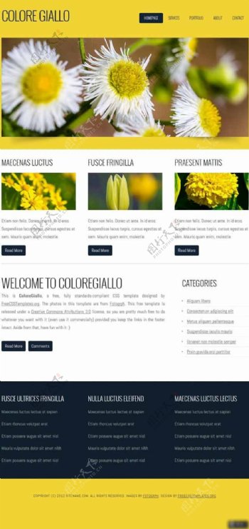 黄色鲜花介绍网页模板