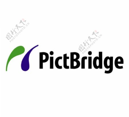 PictBridgelogo设计欣赏PictBridge软件公司LOGO下载标志设计欣赏