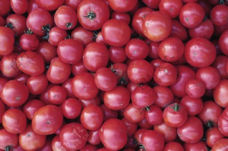 一堆诱人的西红柿