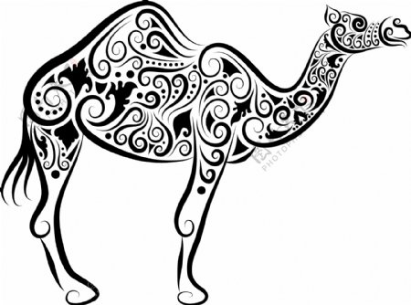 矢量素材手绘骆驼图案