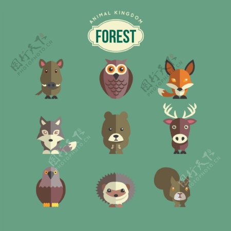 可愛動物森林