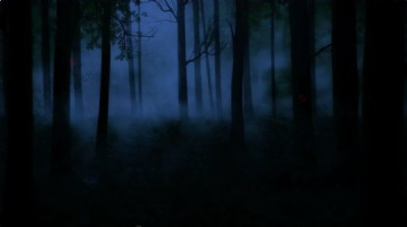 暗黑森林动态Led视频