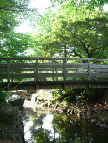 小溪上的木桥