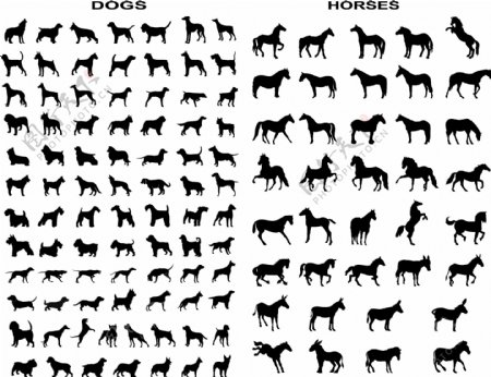 马和狗轮廓矢量