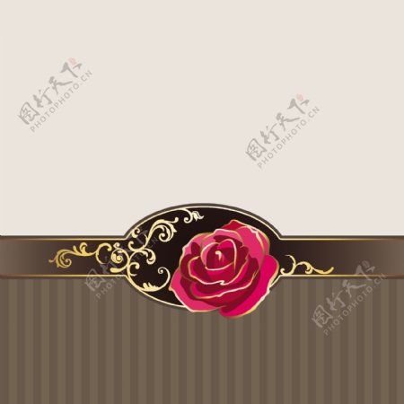 欧式玫瑰花边框背景图片
