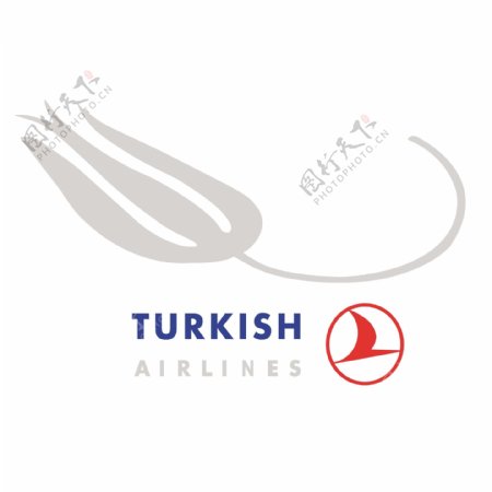 土耳其航空公司2005