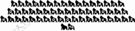 JLR科科大猩猩好字体
