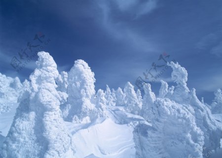 雪景之雪雕