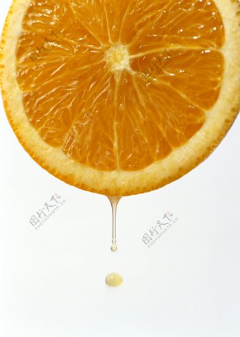 新鲜水果橙子切开的橙子橙子片橘子JPG