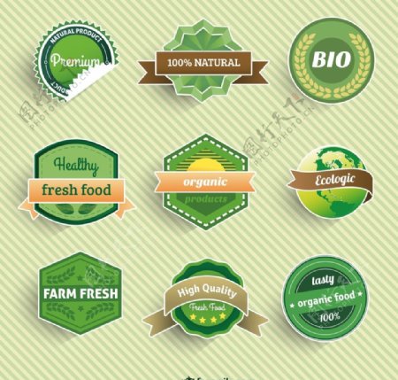 精致绿色食品标签矢量素材图片