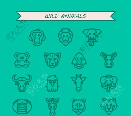15款野生动物头像设计矢量素材图片