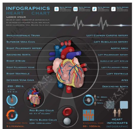 心脏医学医疗设计图片