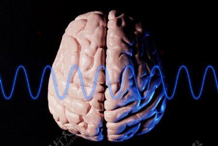 大脑模型脑电波图片