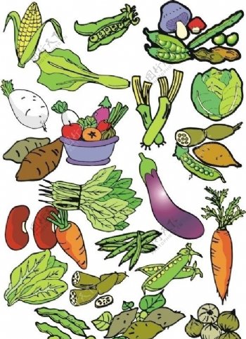 矢量蔬菜合辑1图片