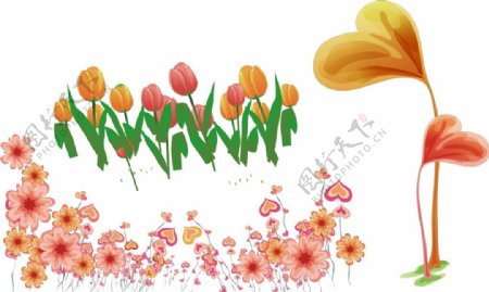 矢量郁金香花朵图片