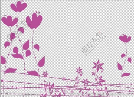 墙纸紫藤花图片