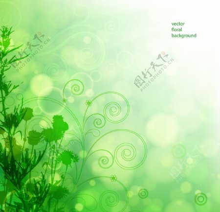 绿色花卉背景图片