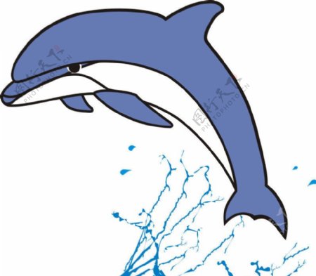 海豚水花矢量图图片