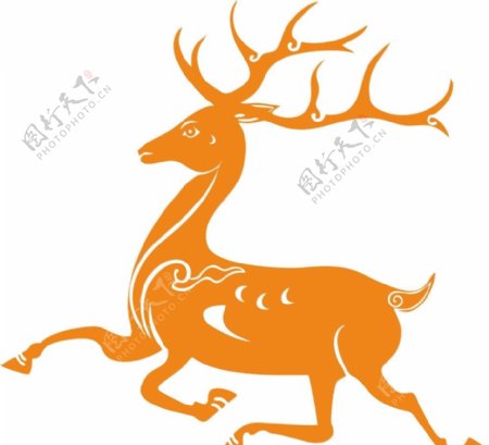 鹿花鹿Deer图片