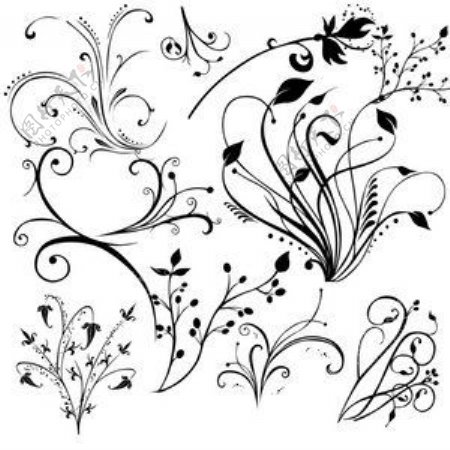 植物花纹装饰花纹笔刷