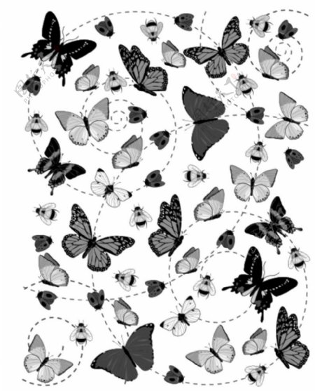 蝴蝶及曲线笔刷