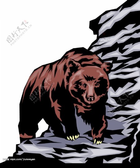 棕熊1图片