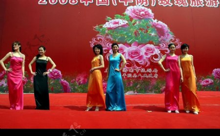 中国玫瑰艺术节图片